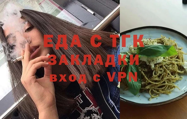 гашик Каменка