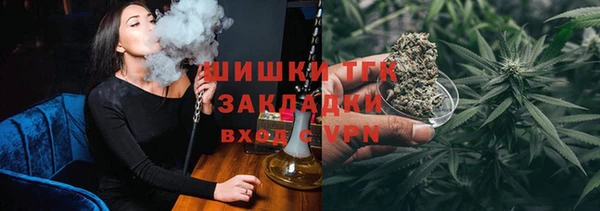 гашик Каменка