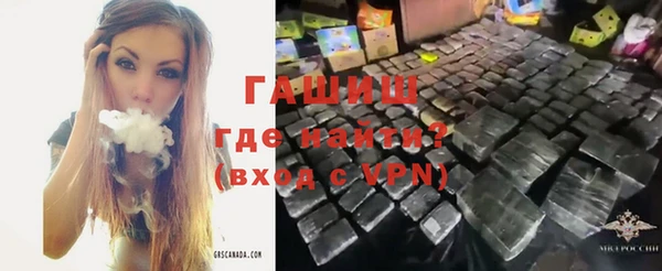 гашик Каменка